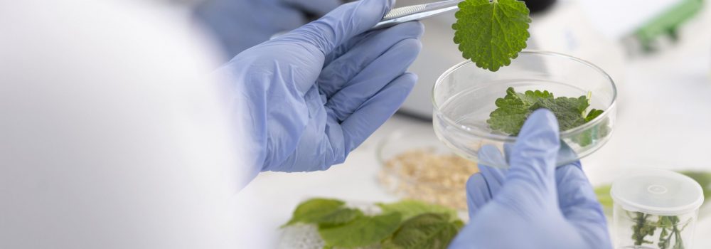 close-up-scientist-holding-petri-dish (2)