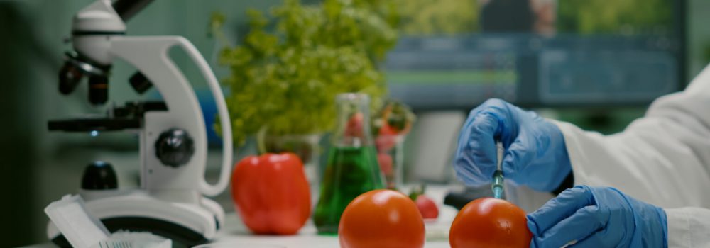 Closeup of chemist scientist injecting organic tomato with pesticides for gmo test. Biochemist working in pharmacology laboratory testing health food for microbiology expertise