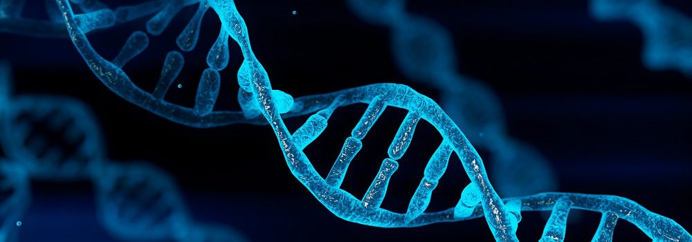 dna-chromosome