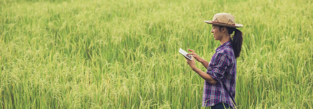 farmer-standing-rice-field-with-tablet (1)