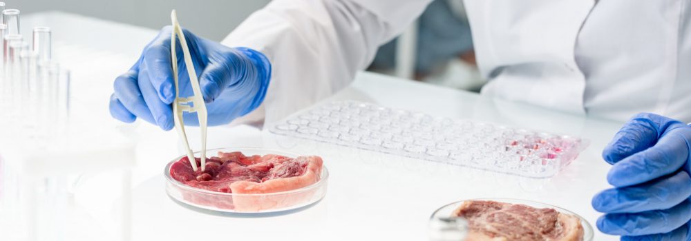 Gloved hands of scientific researcher in whitecoat taking tiny sample of raw vegetable meat during experiment while sitting by table in laboratory