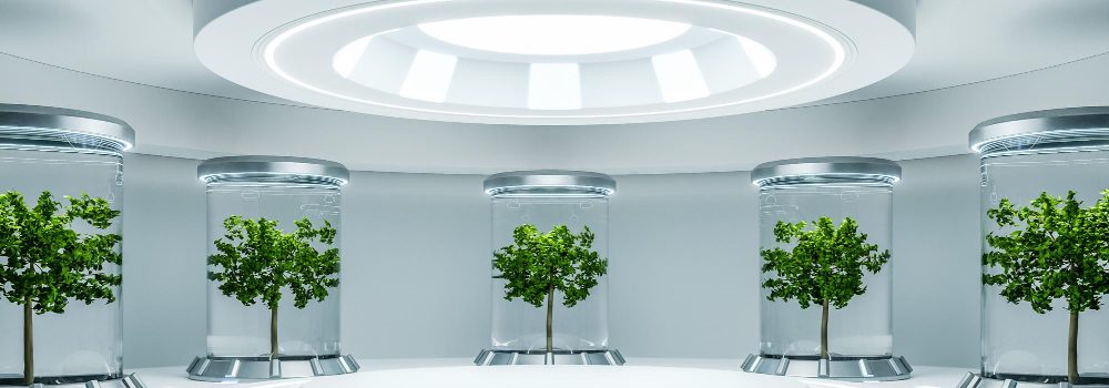 hydroponics-lab-room-spacecraft-with-white-circle-podium-empty3d-rendering (1)