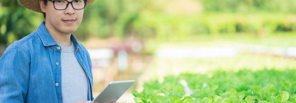 Portrait of young smart farmer using digital tablet computer for inspecting. using technology in agriculture field application in agricultural growing activity and checking quality concept.