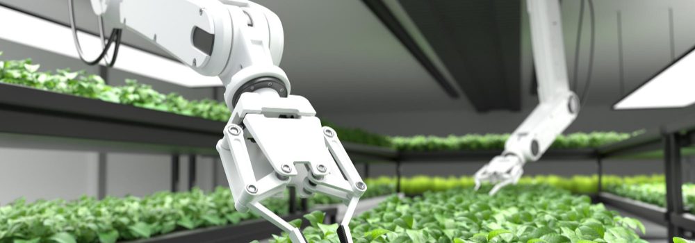 smart-robotic-farmers-concept-robot-farmers-agriculture-technology-farm-automation (5)